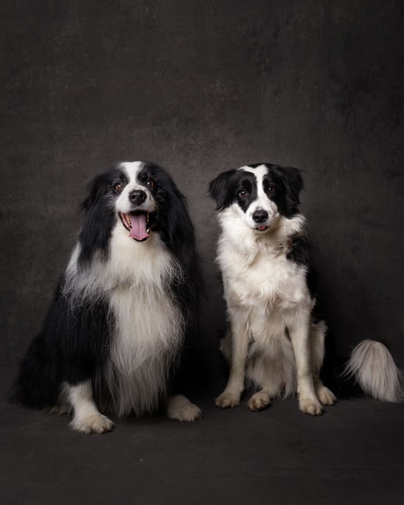 Photograph by Bernardita Aguirre