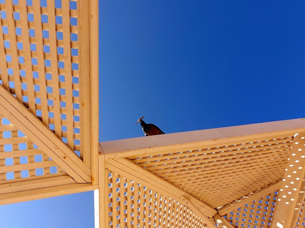 Photograph by Ольга