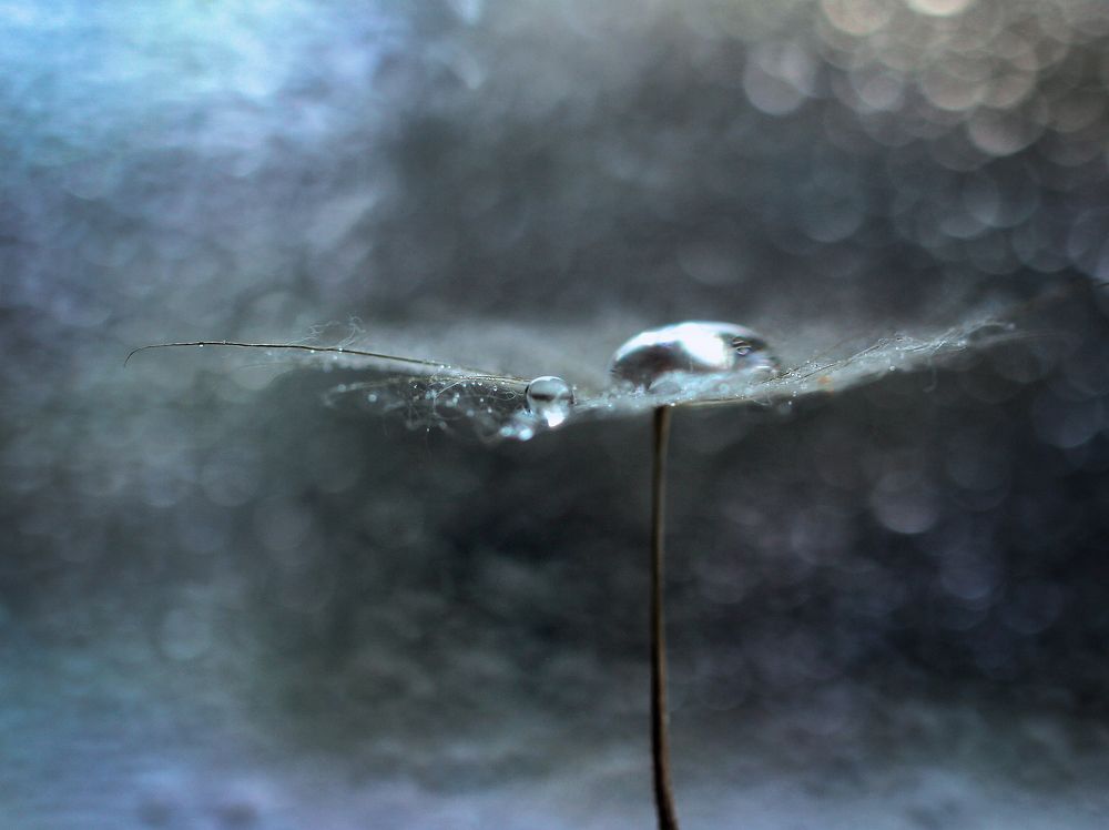 Photograph by Ольга Литвинова