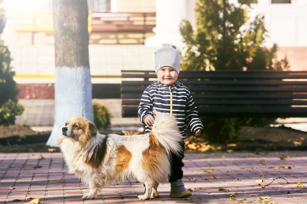 Photograph by Кристина Присакарь