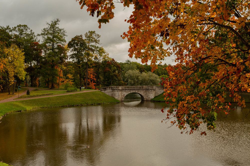 Фотография автора Алексей Тимофеев