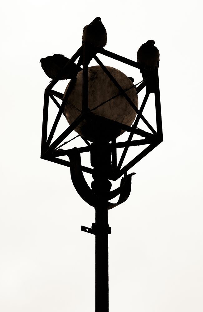 Фотография автора Александр Жданов