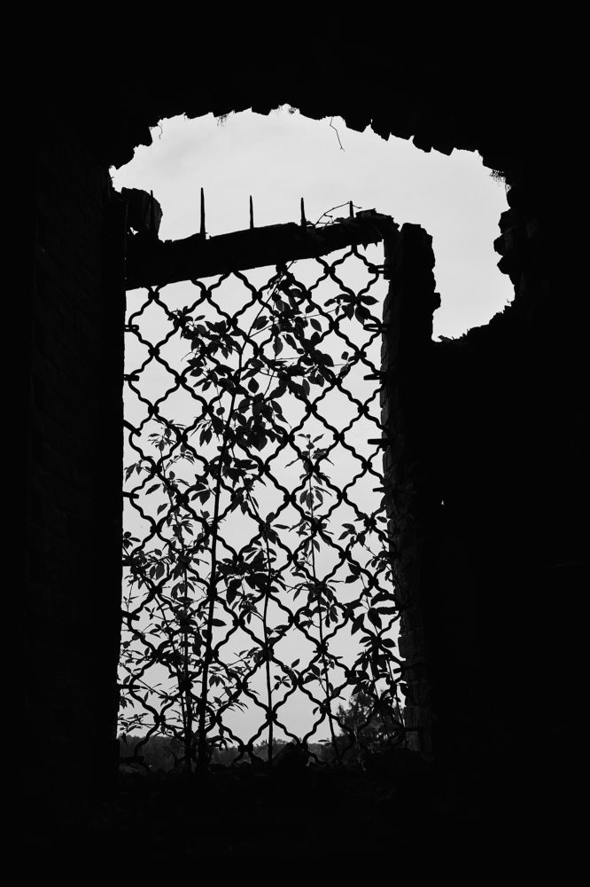 Фотография автора Александр Жданов