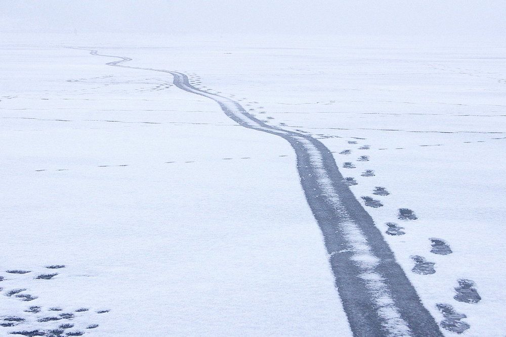 Путь в тумане