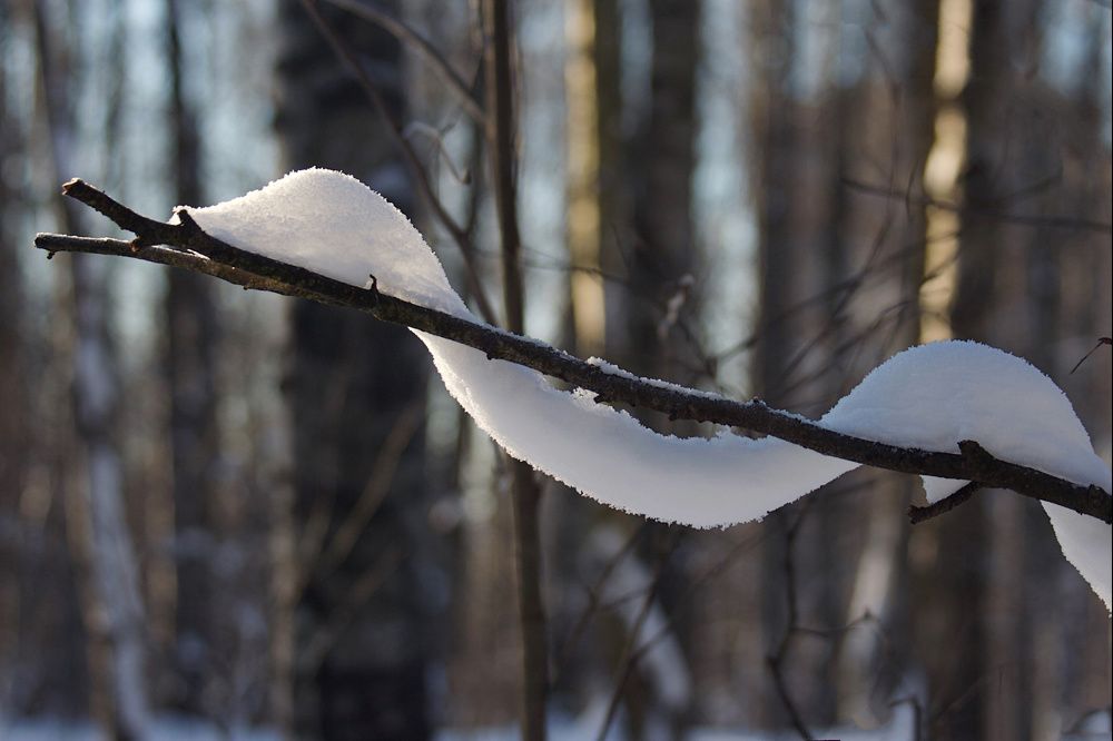 Photograph by Александр К