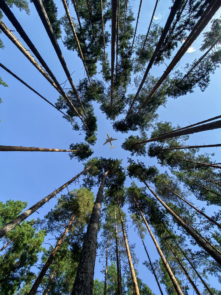 Photograph by Сергей