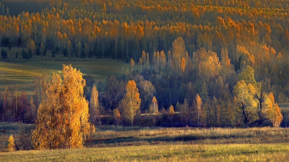 Photograph by Заболотская Ольга