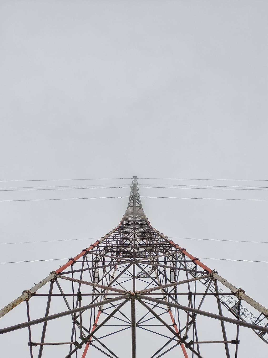 Photo #9694818