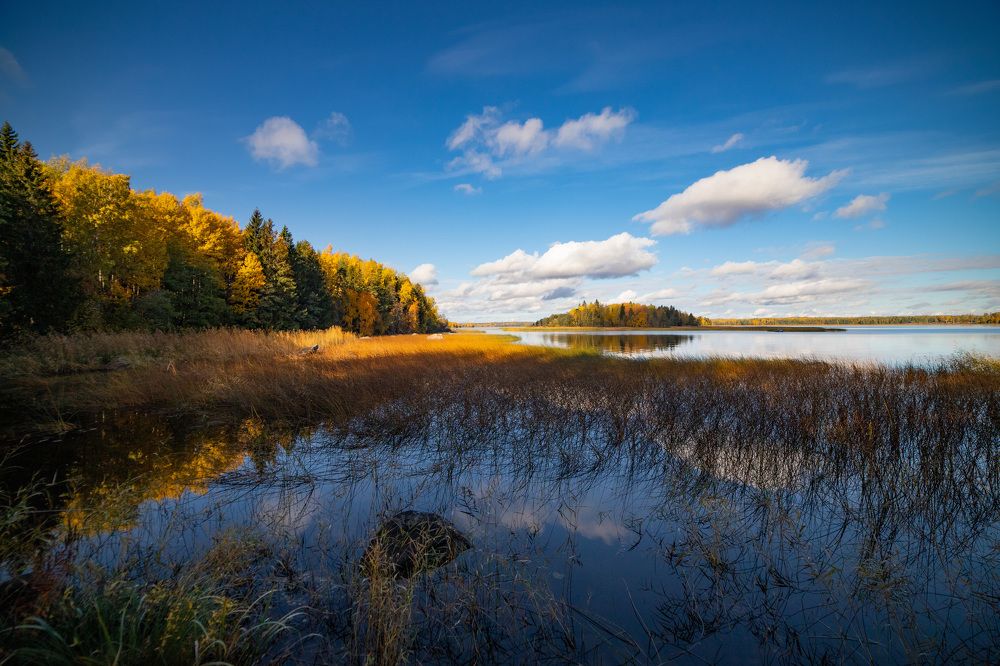 Photograph by Герасимова Елена