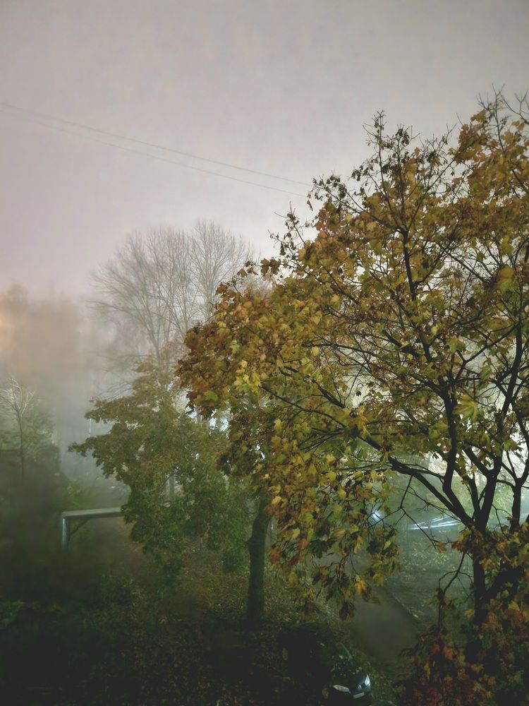 Photograph by Елена Семкина