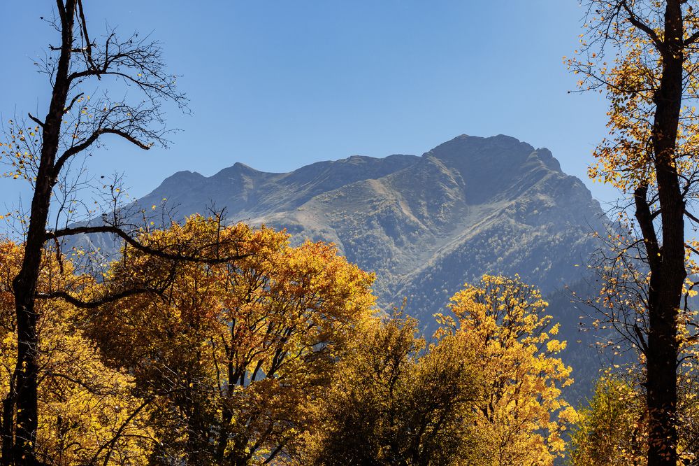 Photograph by Елена Дрогайцева