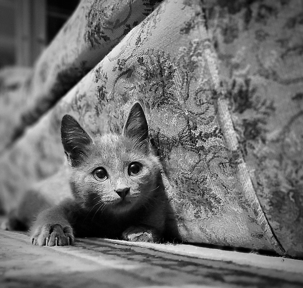 Photograph by Hayk Adamyan