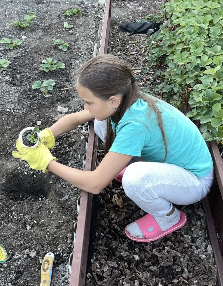 Photograph by Татьяна