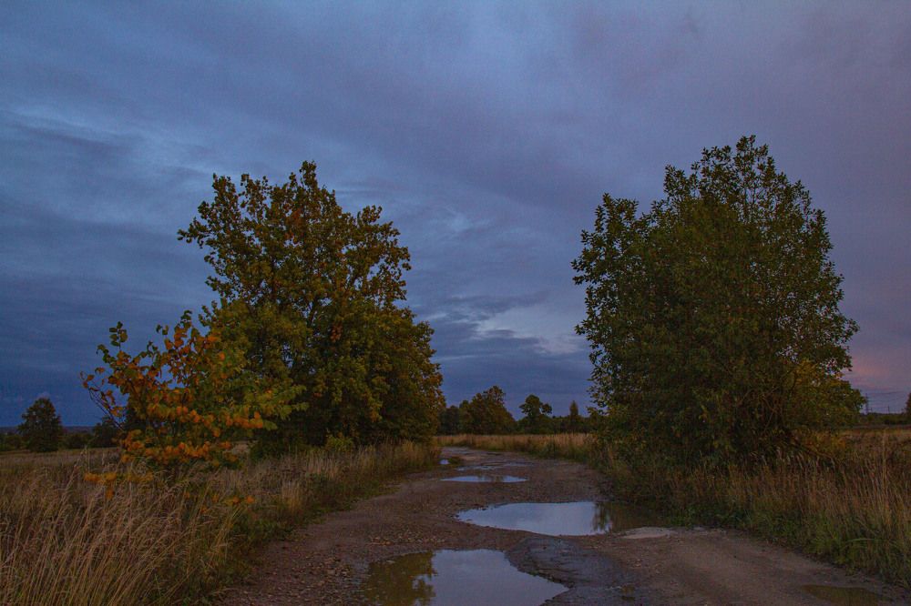 Photograph by Дмитрий Селицкий