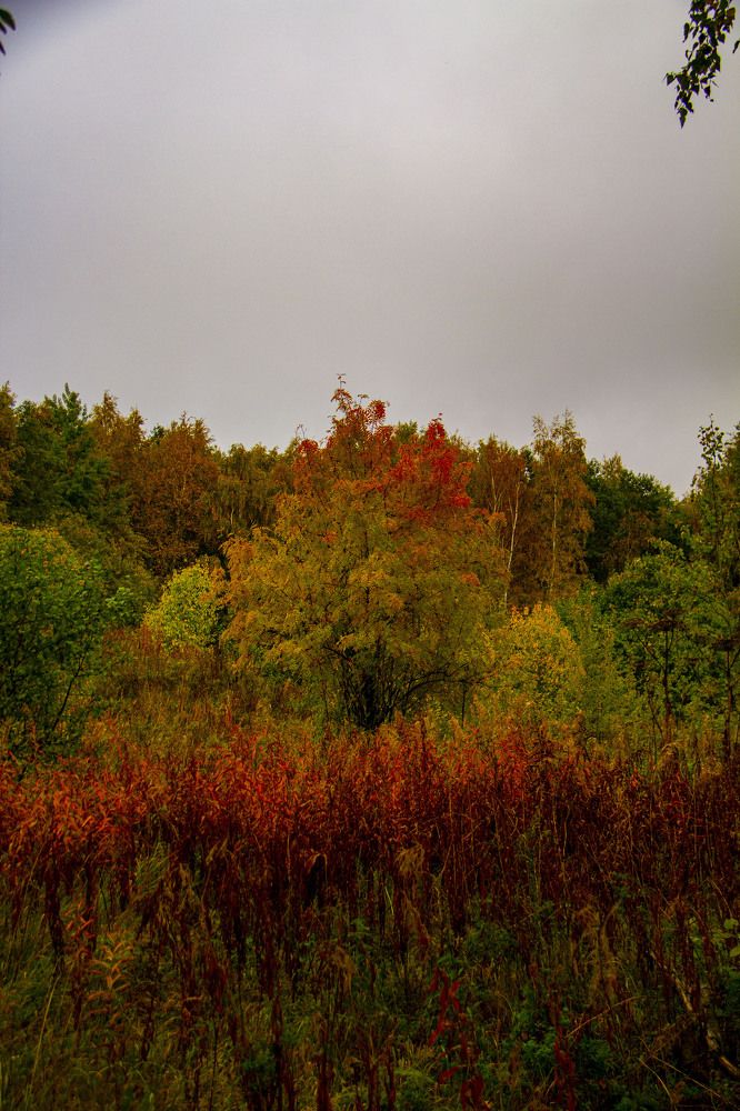 Photograph by Дмитрий Селицкий