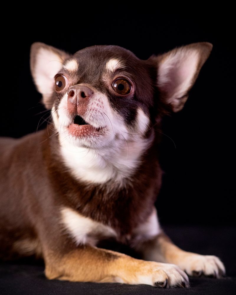 Photograph by Ольга Евграфова