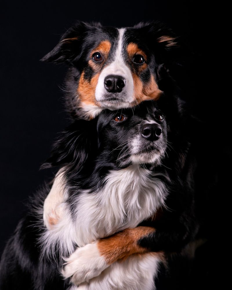 Photograph by Ольга Евграфова