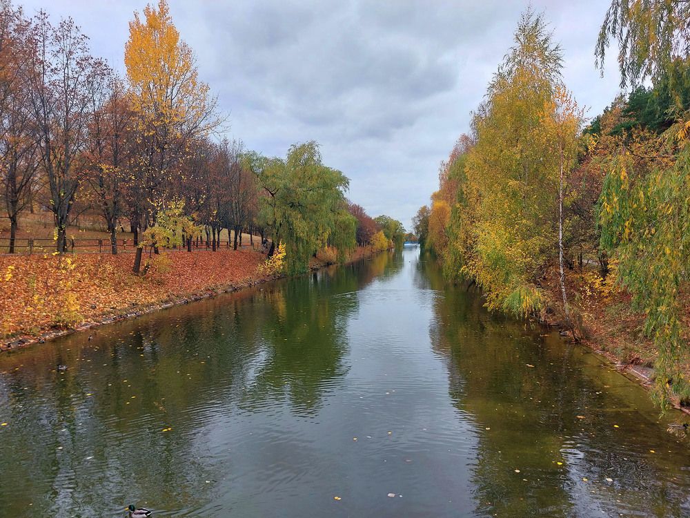 Photograph by Шкарупа Тамара