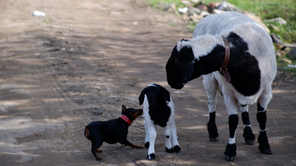 Photograph by Alexey Mironov