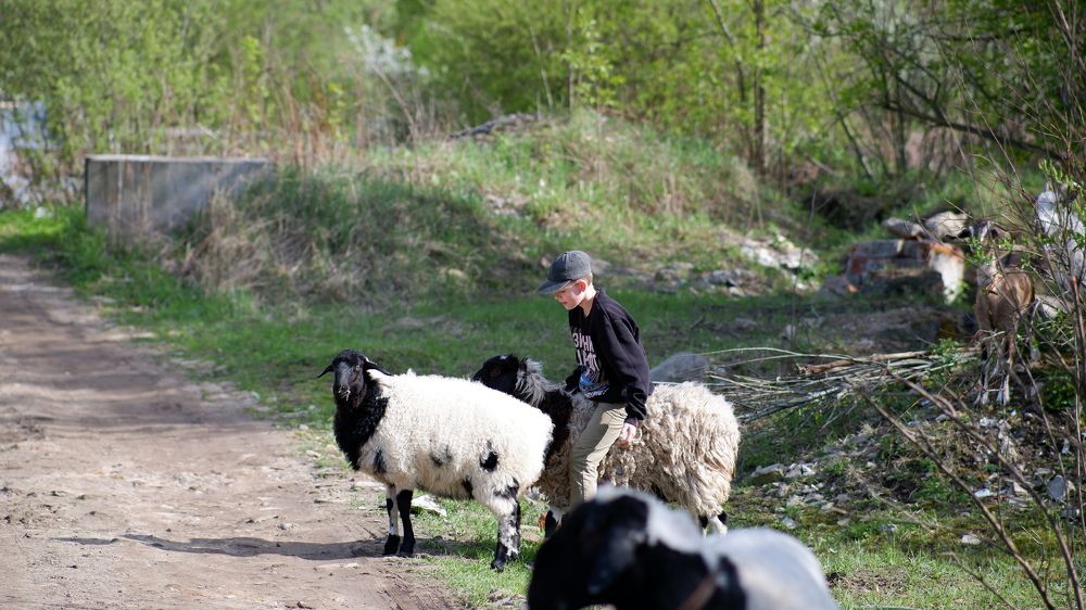 Photograph by Alexey Mironov