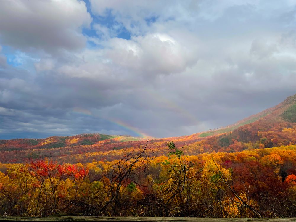 Photograph by Tyler Dewees