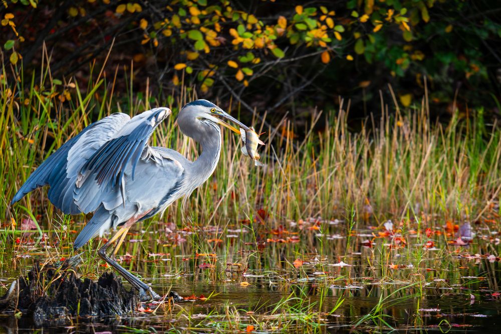 Photograph by Vadim Heinz