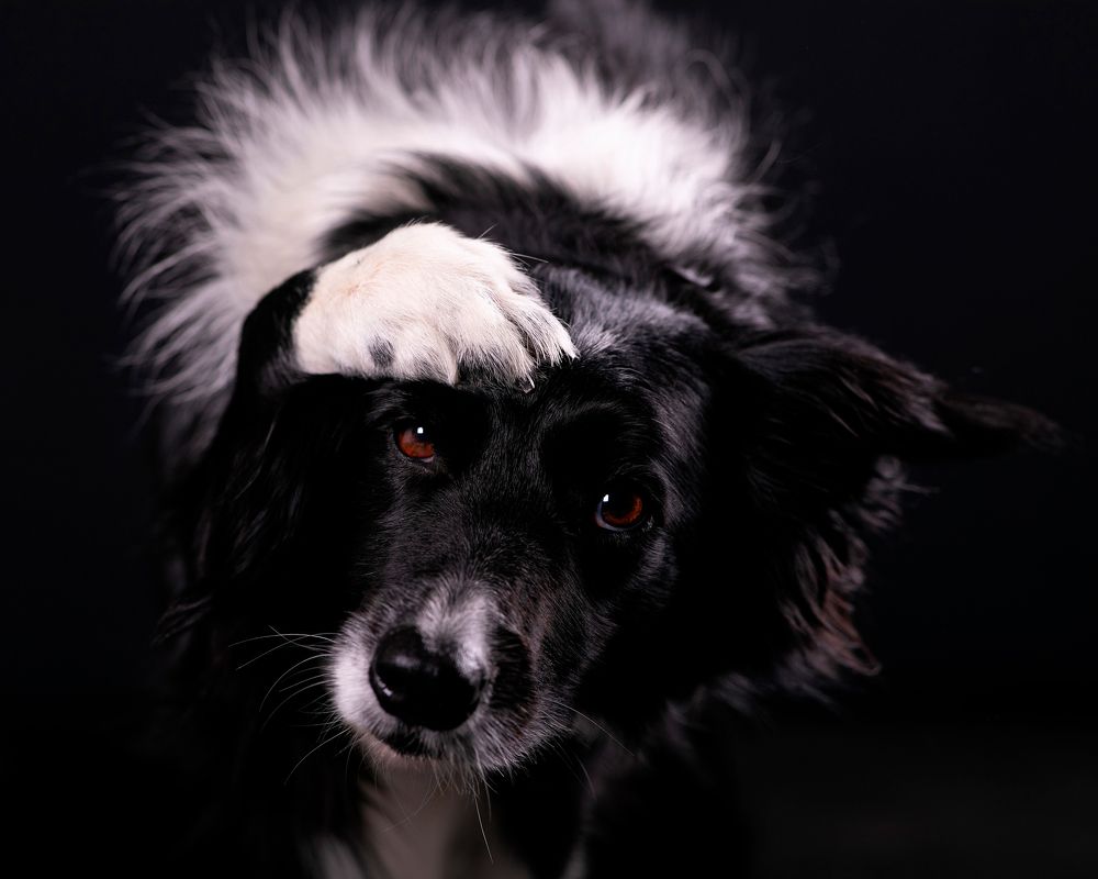 Photograph by Ольга Евграфова