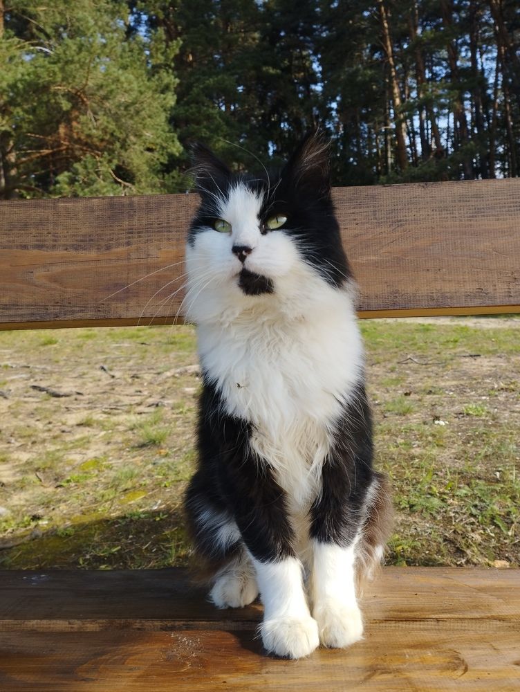 Photograph by Ольга Антохина