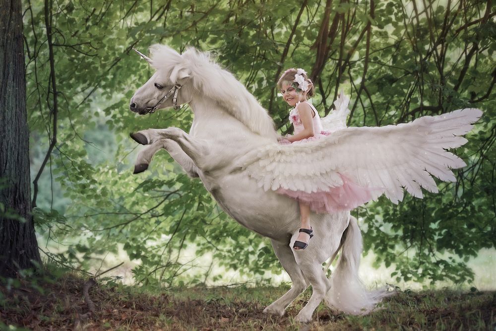 Photograph by Светлана Реунова