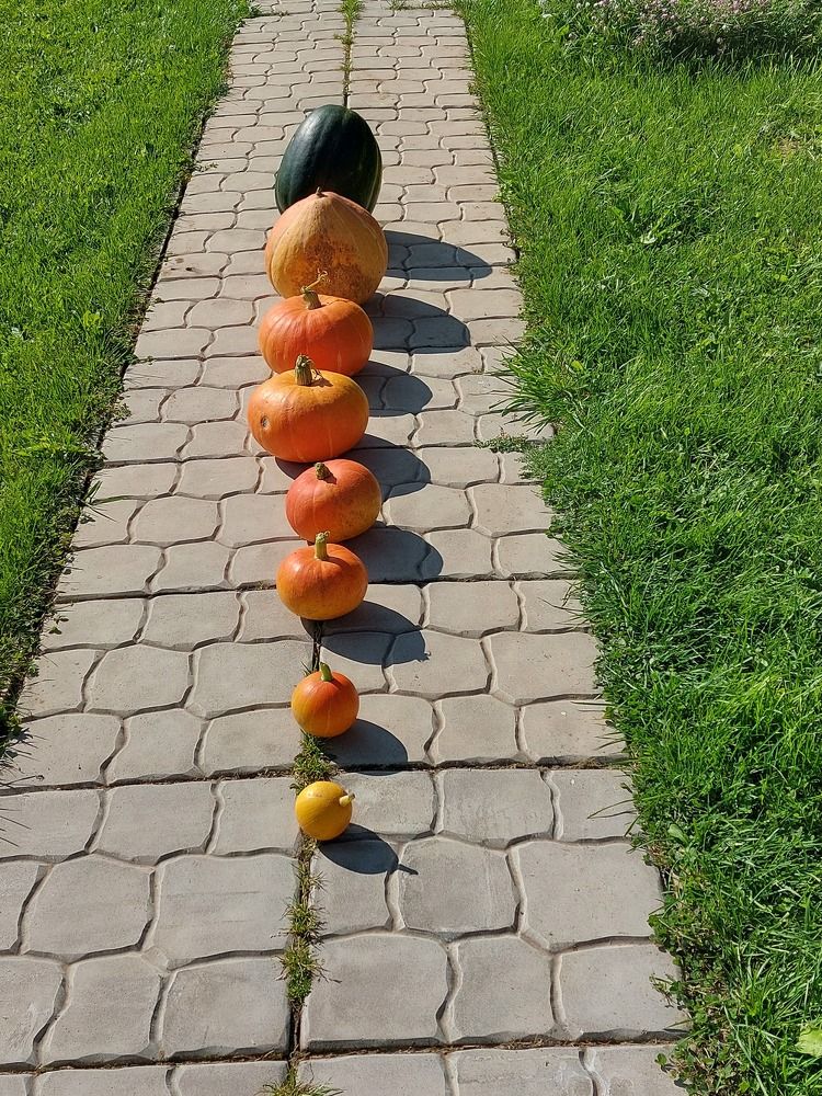 Photograph by Галина Маркова