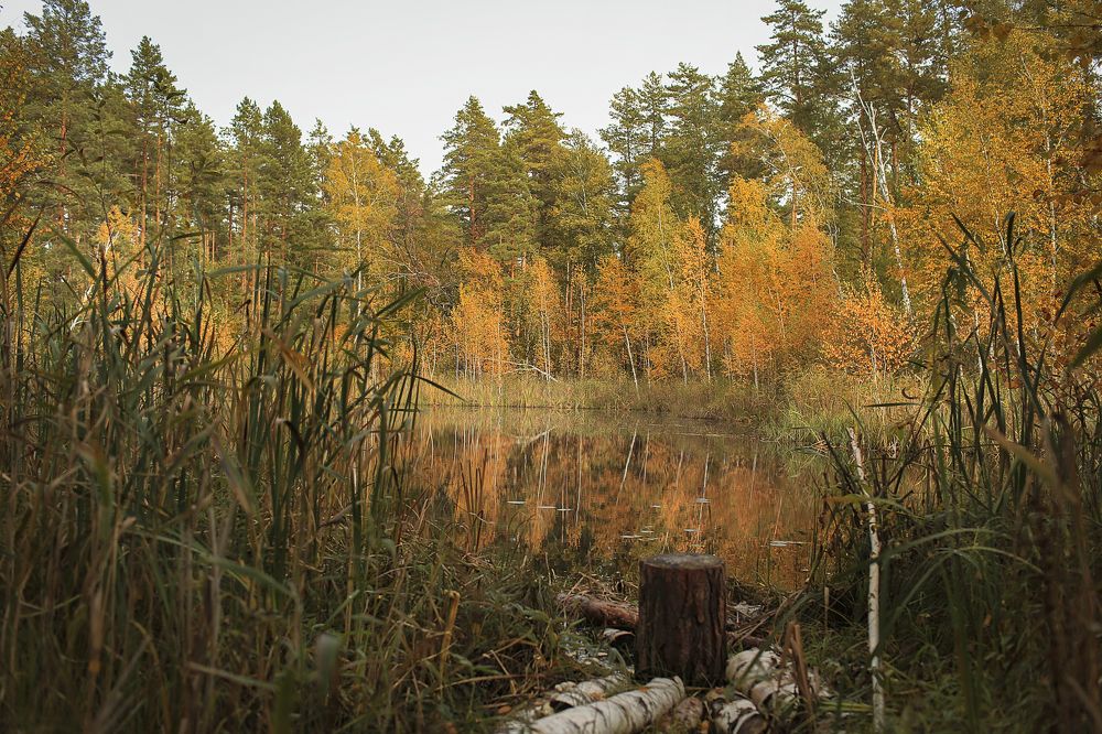 Photograph by Алена Полетаева