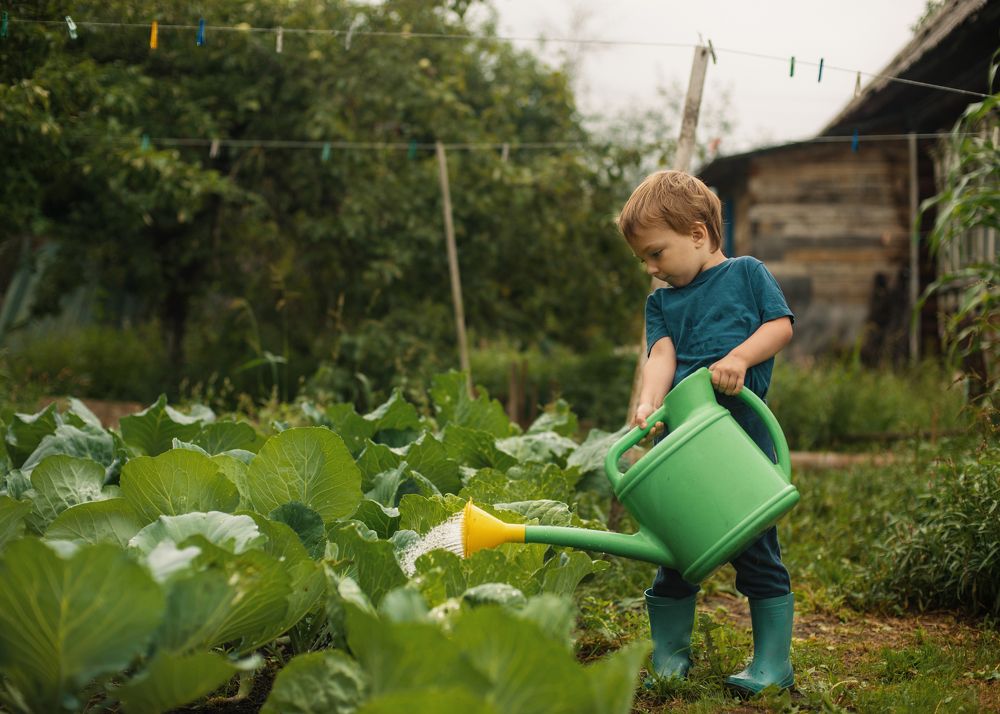 Photograph by Ольга Лобачёва