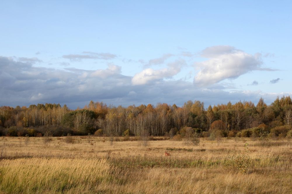 Осеннее настроение
