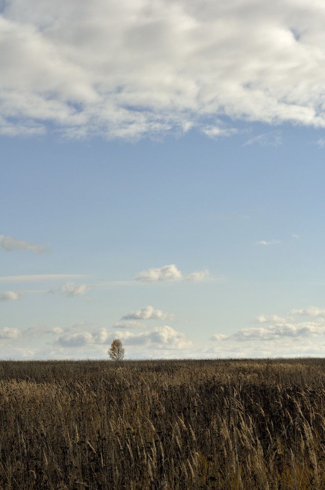 Photograph by Андрей Пляскин