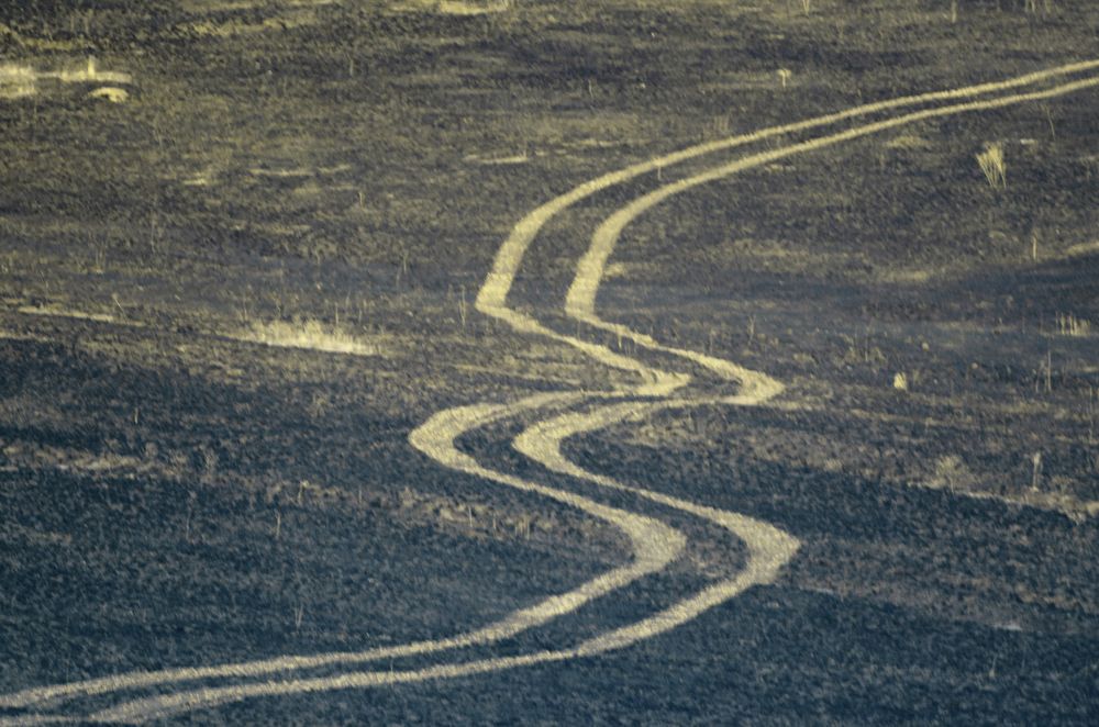 Photograph by Олег Коваль