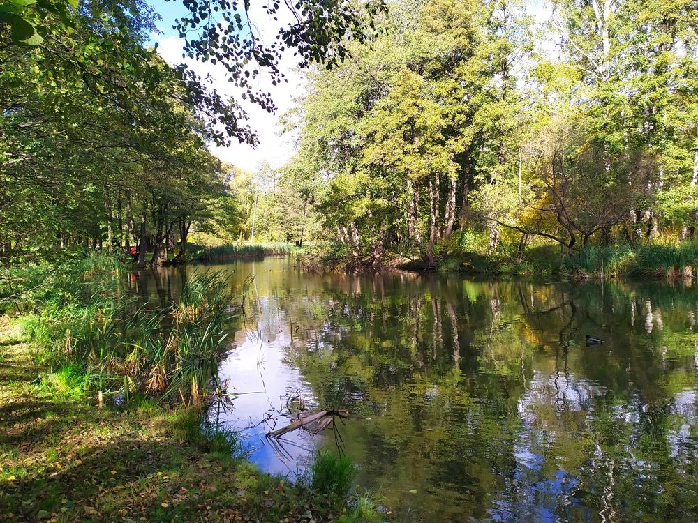 Photograph by Людмила Муравьева