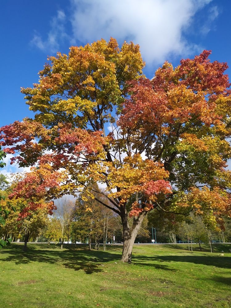 Photograph by Людмила Муравьева