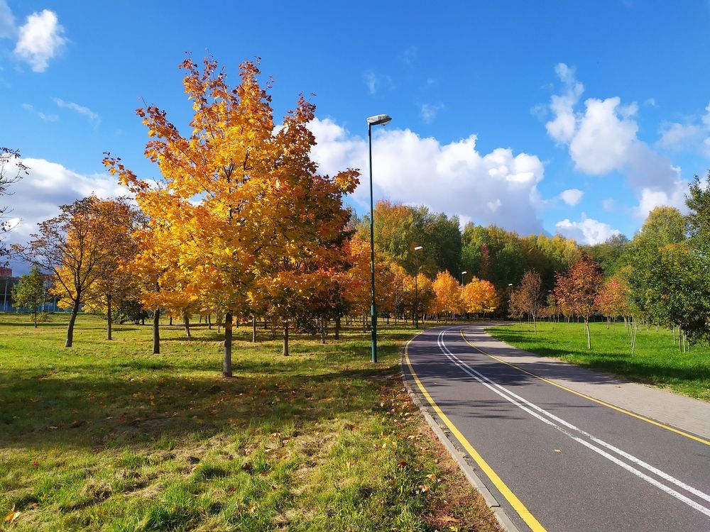 Photograph by Людмила Муравьева