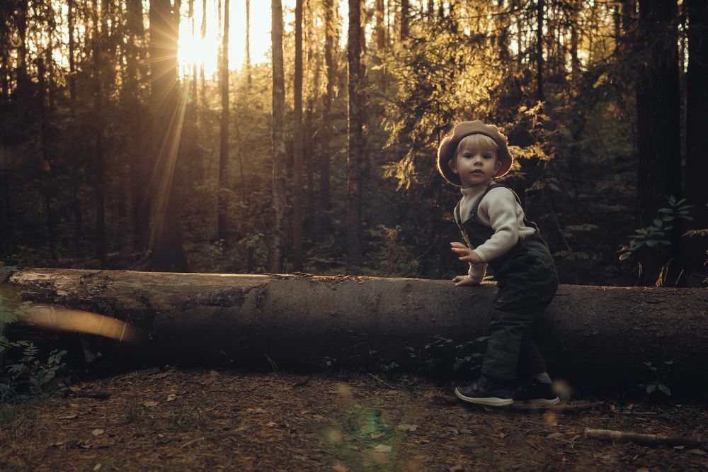 Осенний день