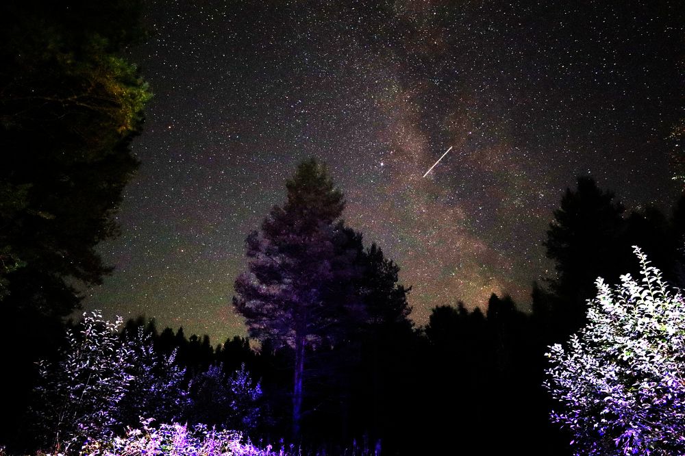 Photograph by Дмитрий Романов