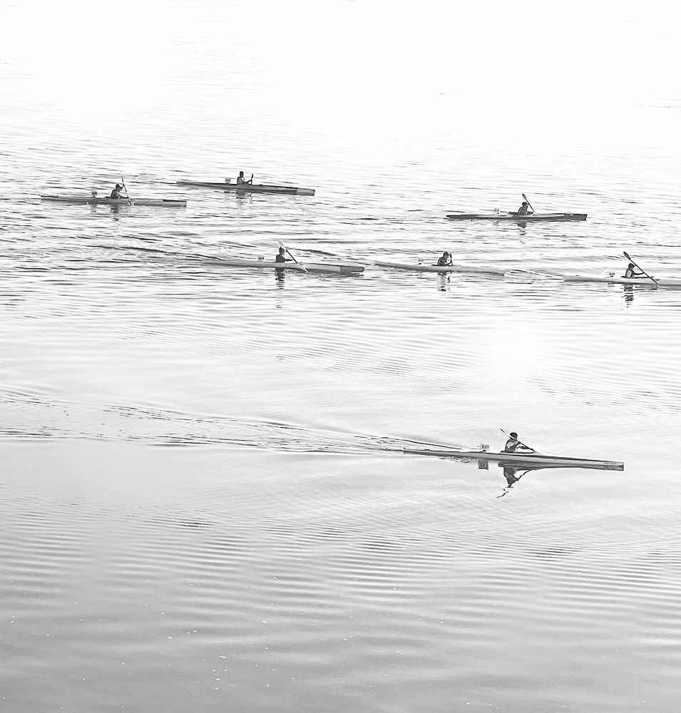 Canoes in the ria of Pontevedra.Spain