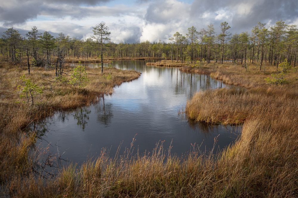Фотография автора Ольга Белоусова