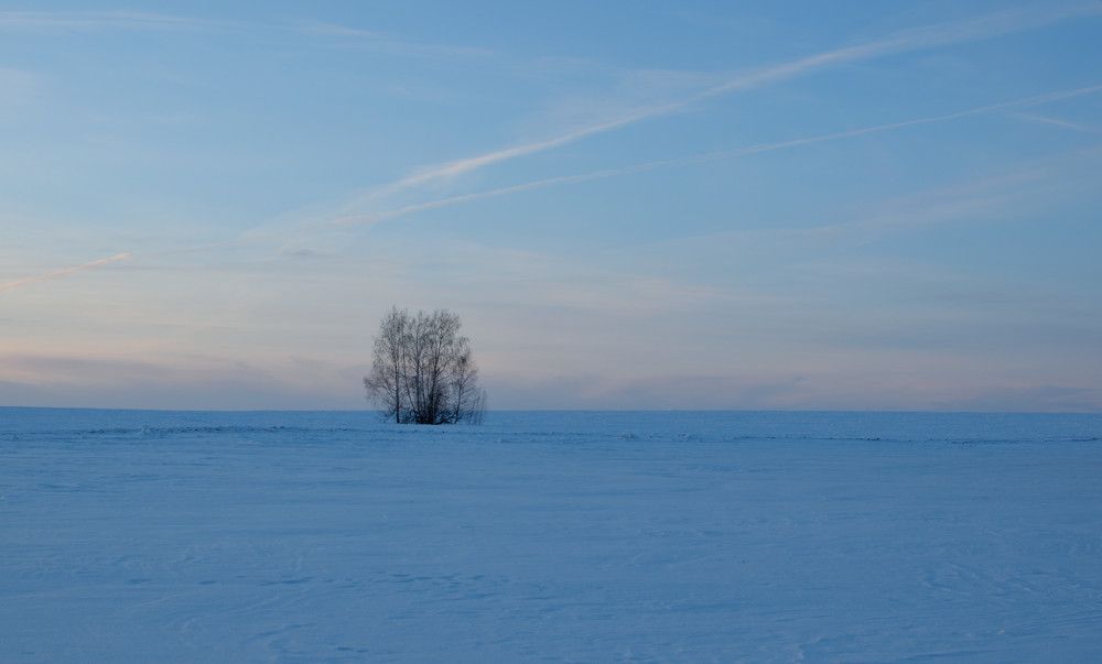 Photograph by Андрей Пляскин