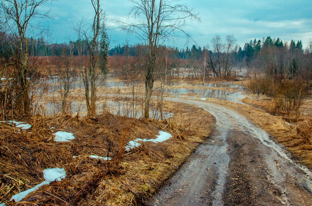 Фотография автора Екатерина Ивлянова