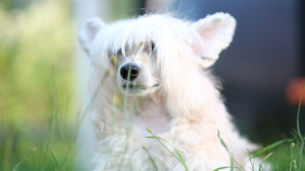 Photograph by Алексей Миронов