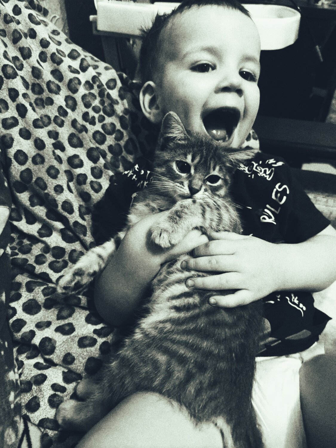 Photo #9695382