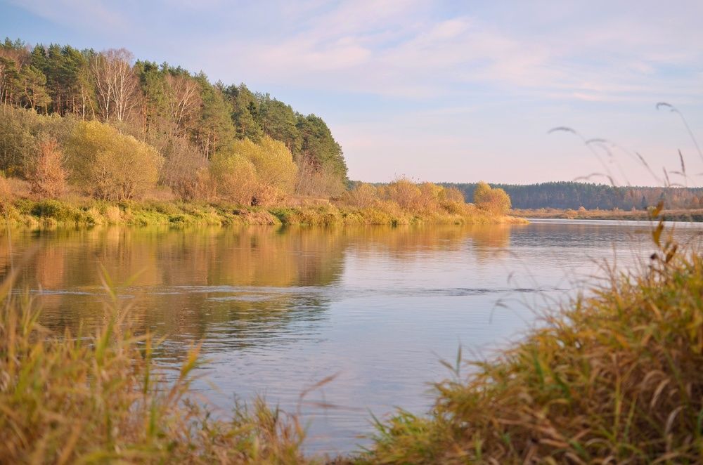 Фотография автора Olga Belikova