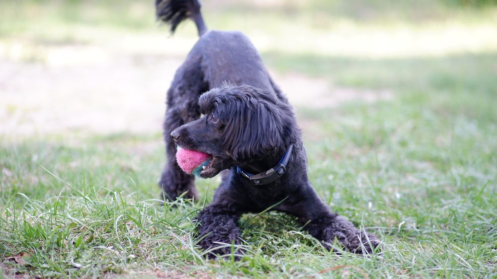 Photograph by Алексей Миронов