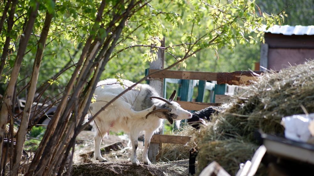 Photograph by Алексей Миронов