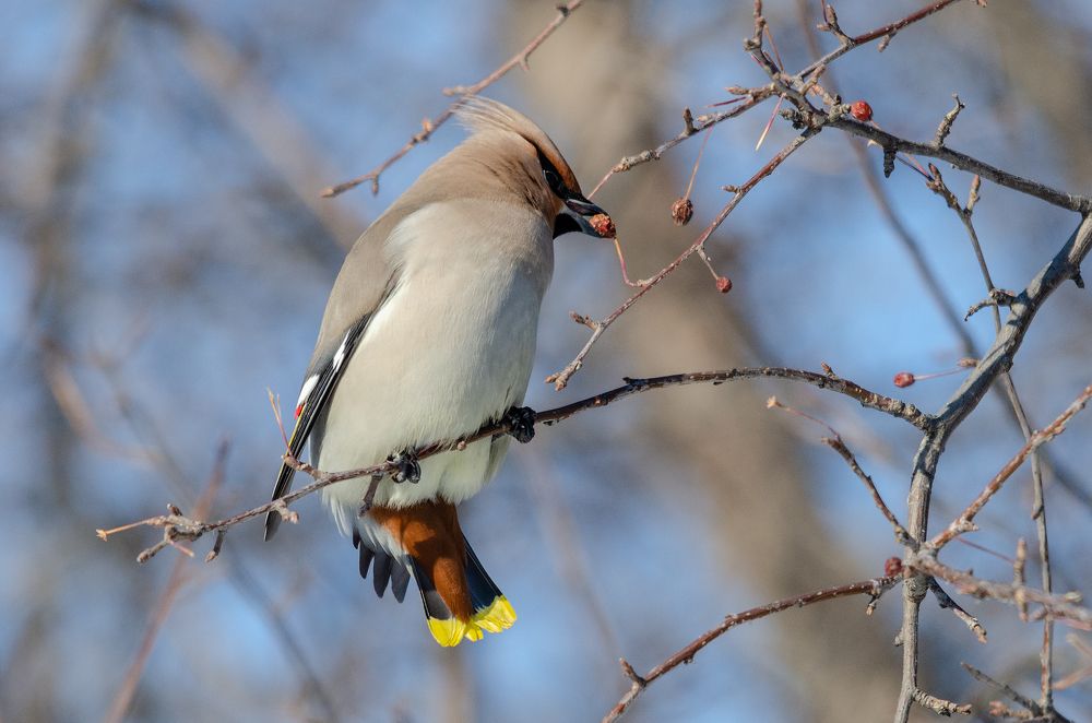 Photograph by Виктор Чернюк